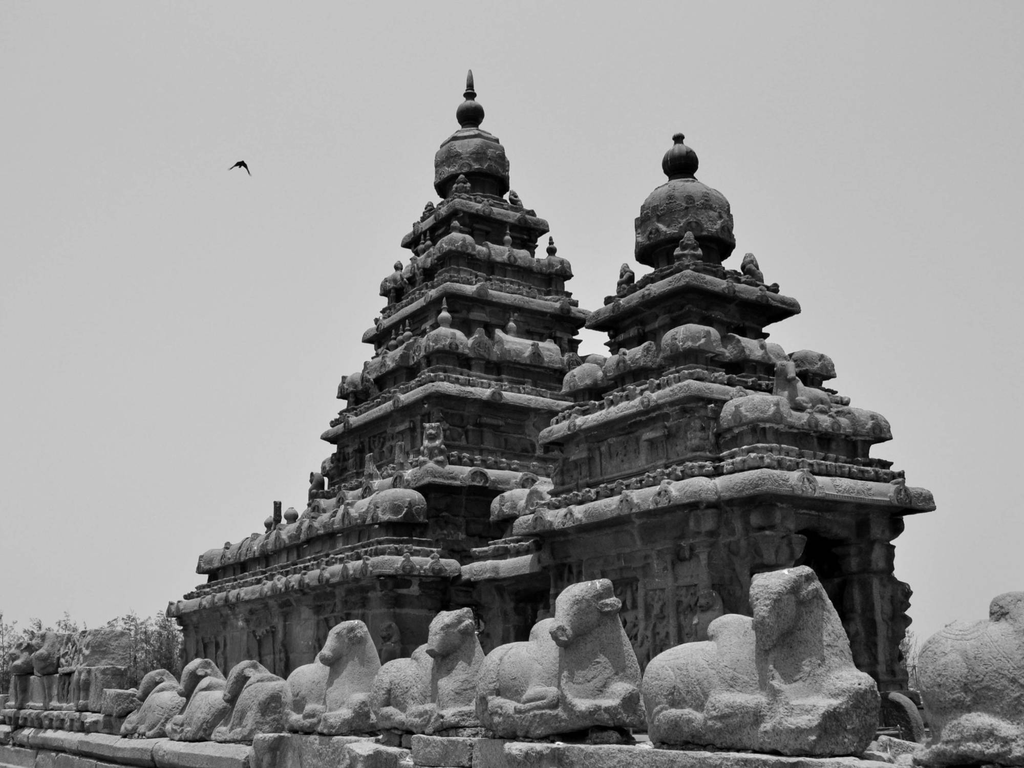 Sea Breeze Beach Resort Mahabalipuram Eksteriør bilde